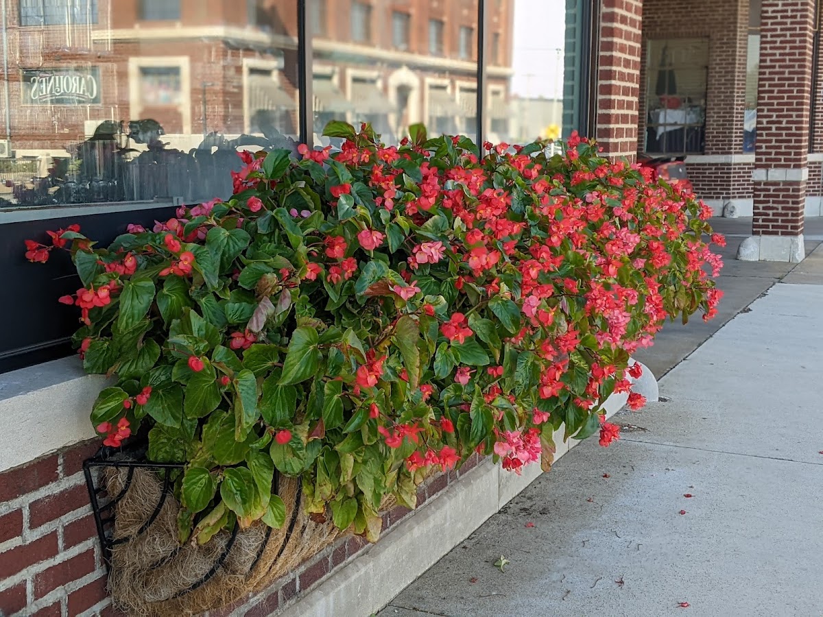 Hoag's Restaurant Equipment