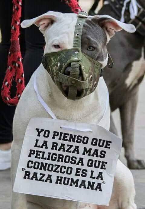 Las Orillas De Gualaceo