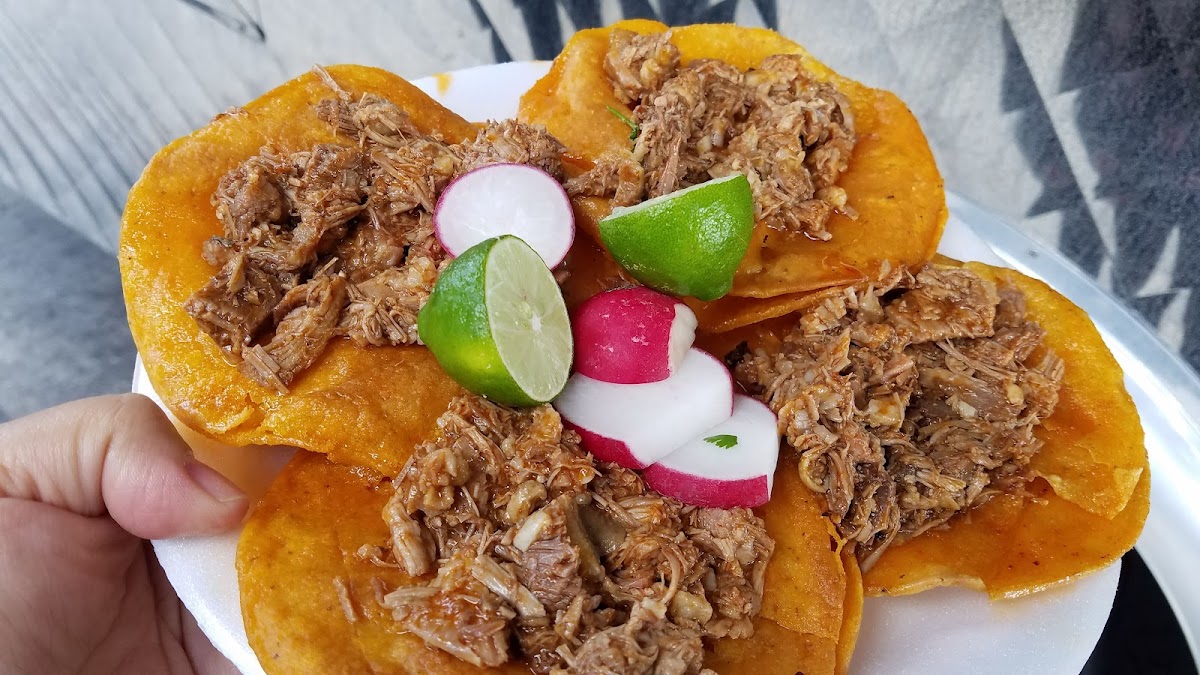Tacos Y Birria El Guero